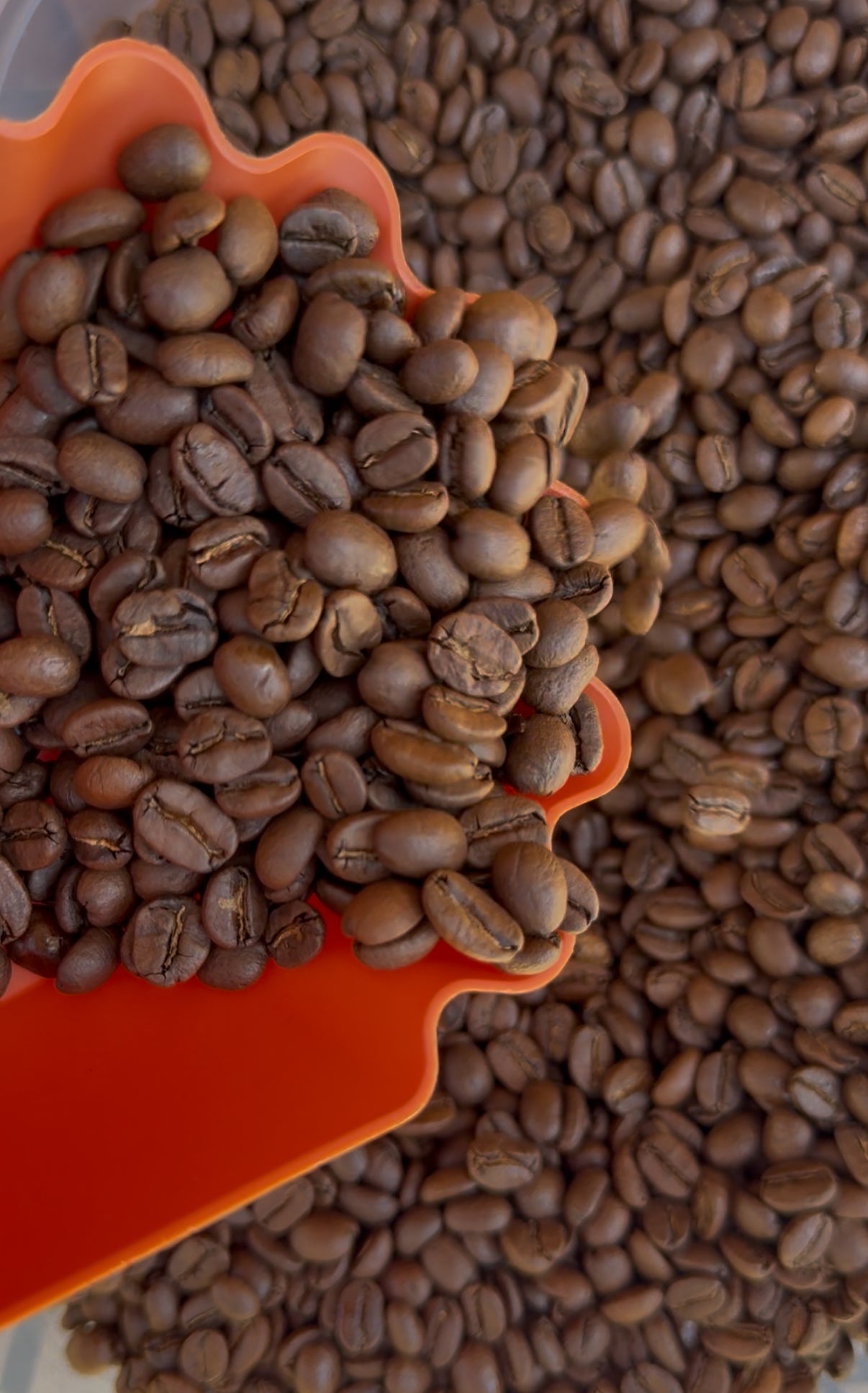 Coffee Sampler Set